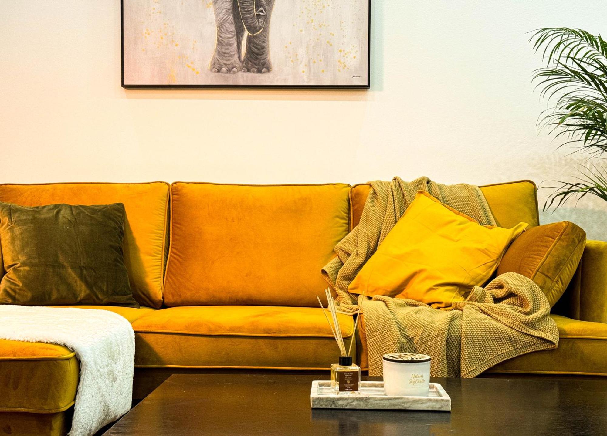Big Company Old Town Treasure Renovated Appartement Belgrado Buitenkant foto